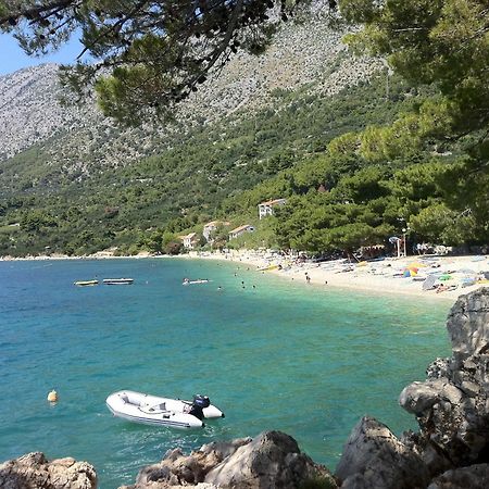 Apartments Vile Holiday Živogošće المظهر الخارجي الصورة