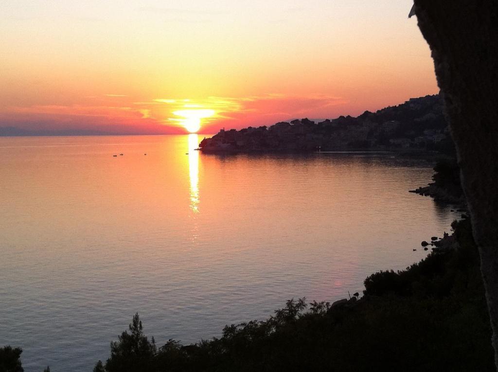 Apartments Vile Holiday Živogošće المظهر الخارجي الصورة