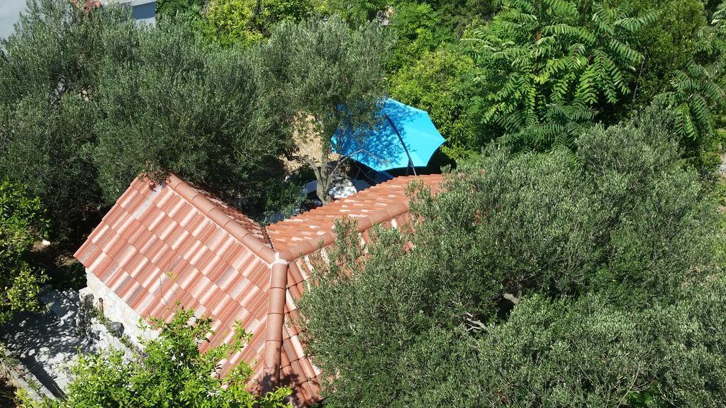 Apartments Vile Holiday Živogošće المظهر الخارجي الصورة