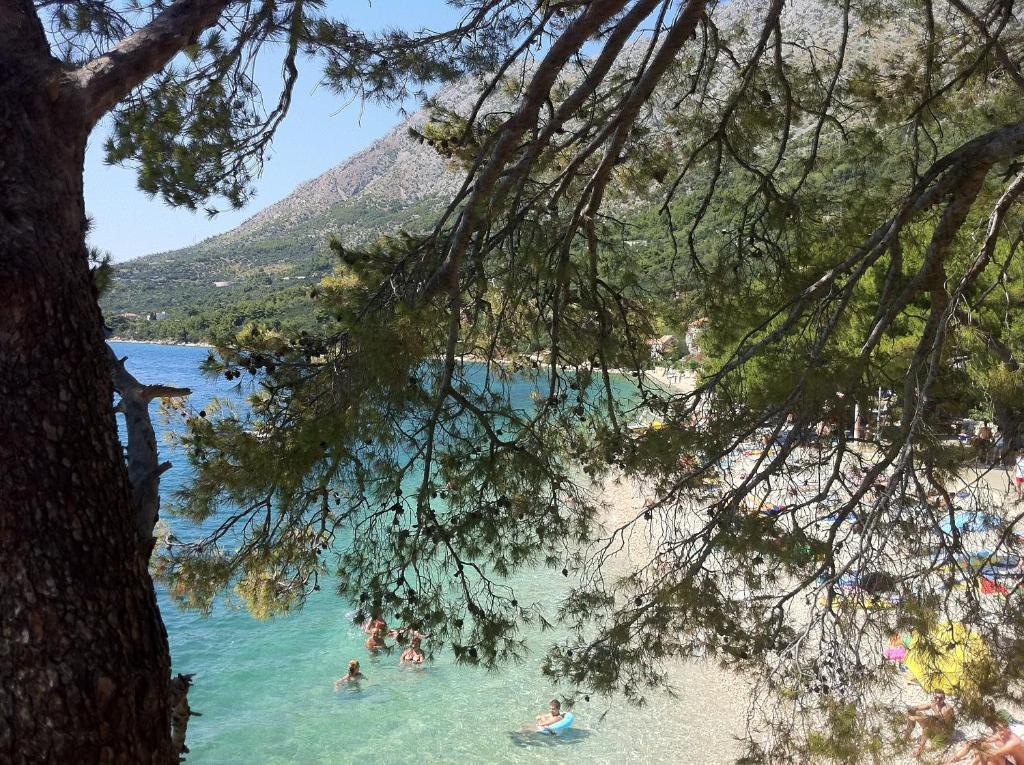 Apartments Vile Holiday Živogošće المظهر الخارجي الصورة